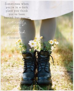 Buried:Planted saying