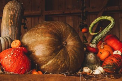 pumpkins autumn