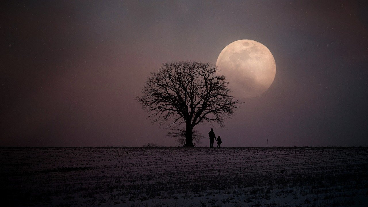 winter-2945906_1280