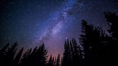 milky-way-trees-night-blog-aaanandha.com-stars