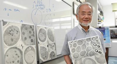 Yoshinori Ohsumi