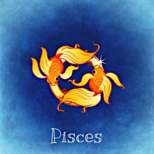 fish-759384_1280