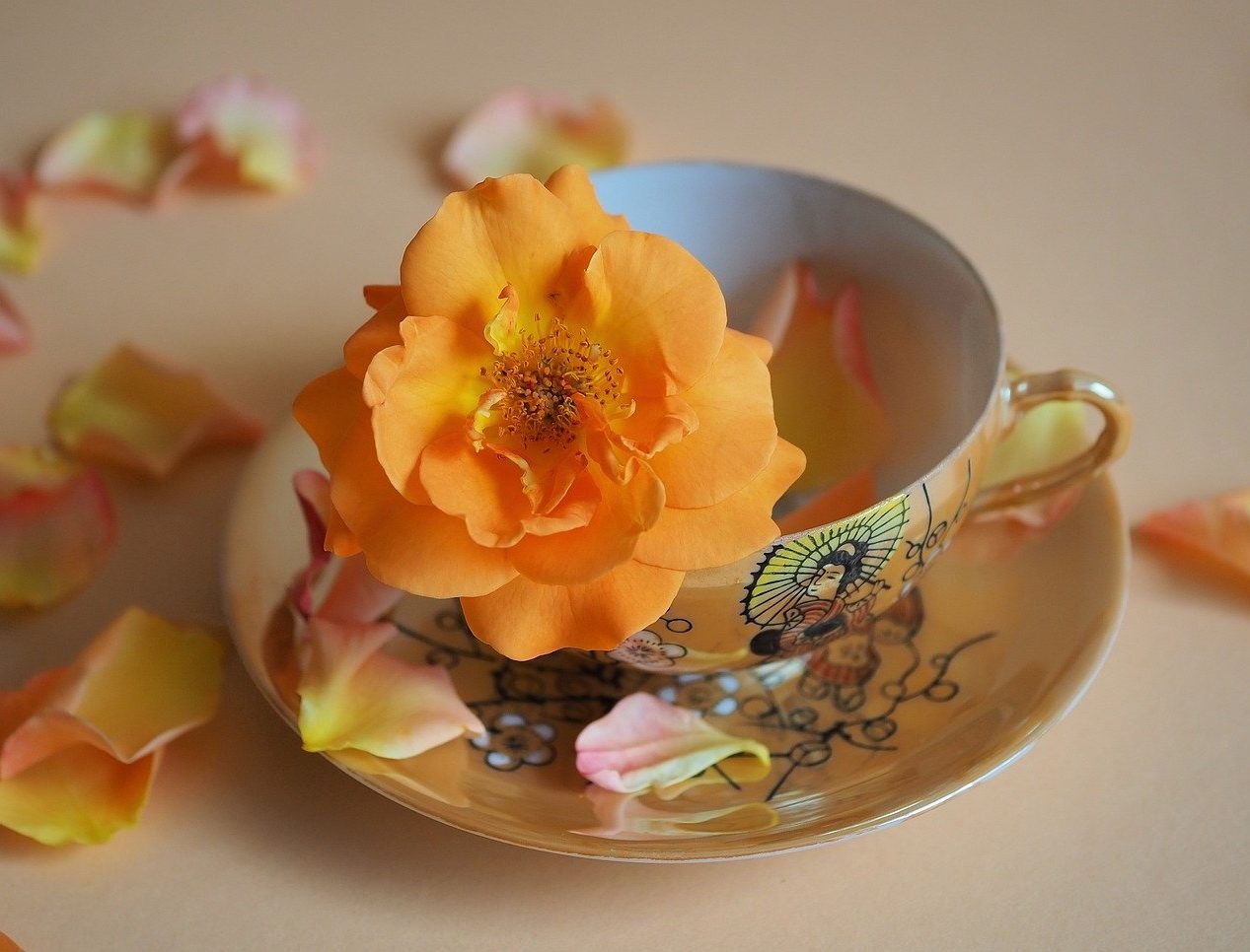 alt="massage ayurvédique Pitta à Genève"