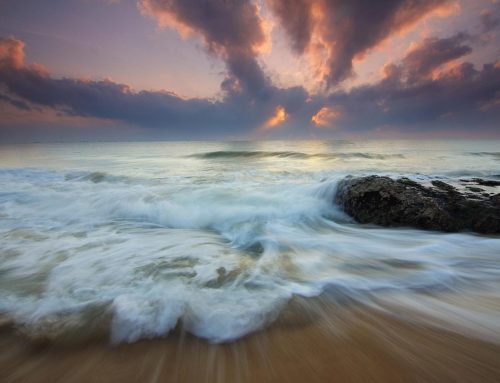 Le massage ayurvédique ou la libération émotionnelle