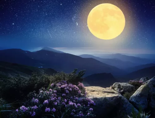 Pleine Lune Scorpion 12 Mai