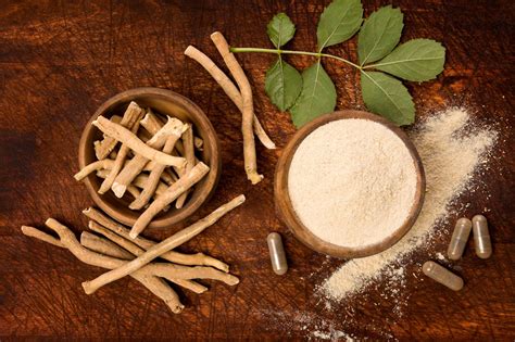 Ashwagandha plante adaptogene selon l'ayurveda. Genève 